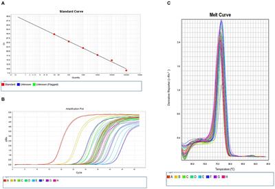 Diet, Sports, and Psychological Stress as Modulators of Breast Cancer Risk: Focus on OPRM1 Methylation